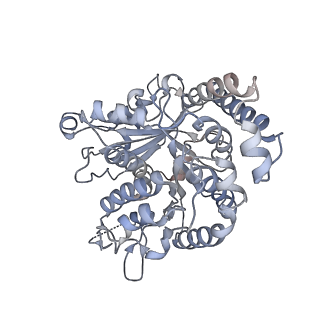 35823_8iyj_KA_v1-0
Cryo-EM structure of the 48-nm repeat doublet microtubule from mouse sperm