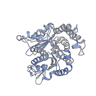 35823_8iyj_KB_v1-0
Cryo-EM structure of the 48-nm repeat doublet microtubule from mouse sperm