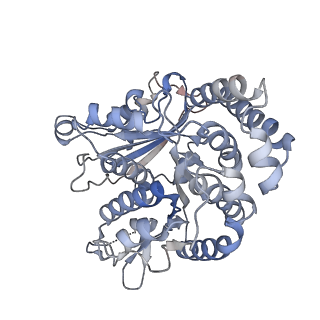 35823_8iyj_KC_v1-0
Cryo-EM structure of the 48-nm repeat doublet microtubule from mouse sperm