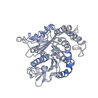 35823_8iyj_KD_v1-0
Cryo-EM structure of the 48-nm repeat doublet microtubule from mouse sperm