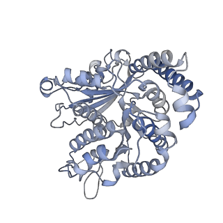 35823_8iyj_KE_v1-0
Cryo-EM structure of the 48-nm repeat doublet microtubule from mouse sperm