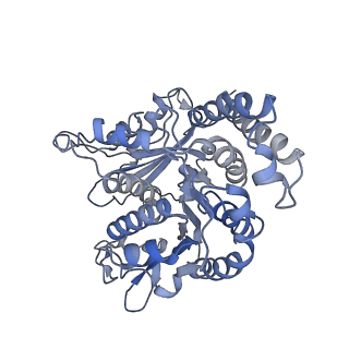 35823_8iyj_KF_v1-0
Cryo-EM structure of the 48-nm repeat doublet microtubule from mouse sperm