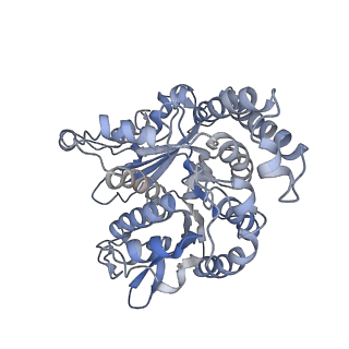35823_8iyj_KH_v1-0
Cryo-EM structure of the 48-nm repeat doublet microtubule from mouse sperm