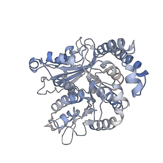 35823_8iyj_KI_v1-0
Cryo-EM structure of the 48-nm repeat doublet microtubule from mouse sperm