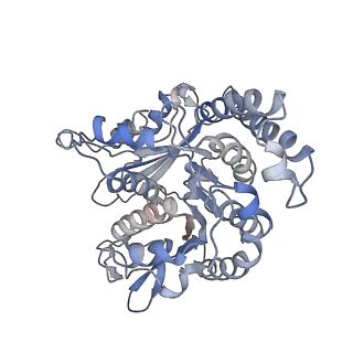 35823_8iyj_KJ_v1-0
Cryo-EM structure of the 48-nm repeat doublet microtubule from mouse sperm