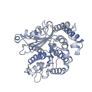 35823_8iyj_KK_v1-0
Cryo-EM structure of the 48-nm repeat doublet microtubule from mouse sperm