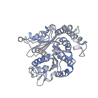 35823_8iyj_KL_v1-0
Cryo-EM structure of the 48-nm repeat doublet microtubule from mouse sperm