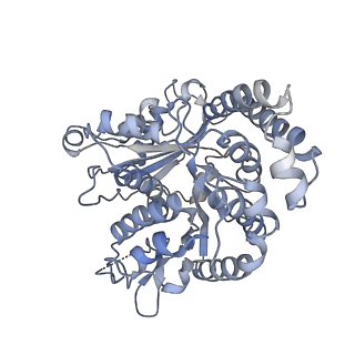 35823_8iyj_KM_v1-0
Cryo-EM structure of the 48-nm repeat doublet microtubule from mouse sperm