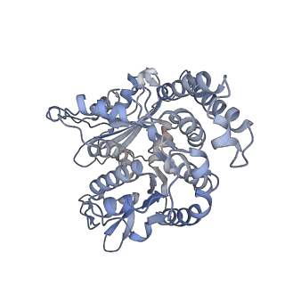 35823_8iyj_KN_v1-0
Cryo-EM structure of the 48-nm repeat doublet microtubule from mouse sperm