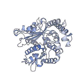 35823_8iyj_KO_v1-0
Cryo-EM structure of the 48-nm repeat doublet microtubule from mouse sperm