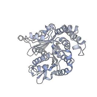 35823_8iyj_KP_v1-0
Cryo-EM structure of the 48-nm repeat doublet microtubule from mouse sperm
