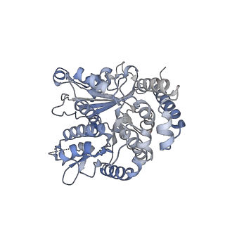 35823_8iyj_LA_v1-0
Cryo-EM structure of the 48-nm repeat doublet microtubule from mouse sperm