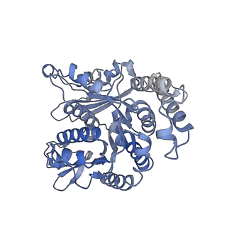 35823_8iyj_LB_v1-0
Cryo-EM structure of the 48-nm repeat doublet microtubule from mouse sperm