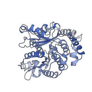 35823_8iyj_LC_v1-0
Cryo-EM structure of the 48-nm repeat doublet microtubule from mouse sperm