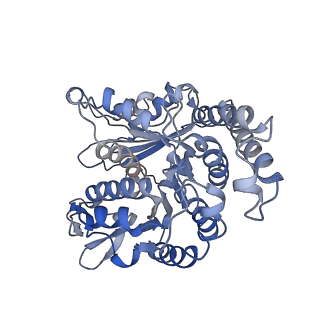 35823_8iyj_LD_v1-0
Cryo-EM structure of the 48-nm repeat doublet microtubule from mouse sperm