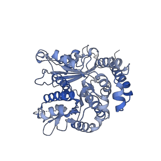 35823_8iyj_LE_v1-0
Cryo-EM structure of the 48-nm repeat doublet microtubule from mouse sperm