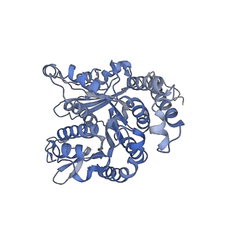 35823_8iyj_LF_v1-0
Cryo-EM structure of the 48-nm repeat doublet microtubule from mouse sperm
