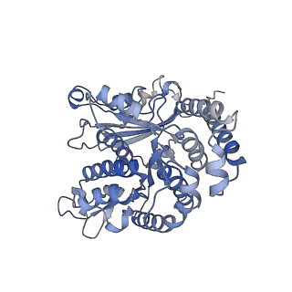 35823_8iyj_LG_v1-0
Cryo-EM structure of the 48-nm repeat doublet microtubule from mouse sperm