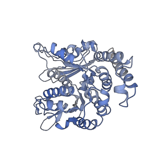 35823_8iyj_LH_v1-0
Cryo-EM structure of the 48-nm repeat doublet microtubule from mouse sperm
