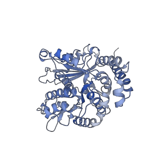 35823_8iyj_LI_v1-0
Cryo-EM structure of the 48-nm repeat doublet microtubule from mouse sperm
