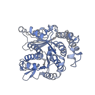 35823_8iyj_LJ_v1-0
Cryo-EM structure of the 48-nm repeat doublet microtubule from mouse sperm