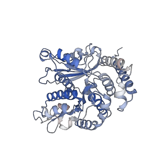 35823_8iyj_LK_v1-0
Cryo-EM structure of the 48-nm repeat doublet microtubule from mouse sperm