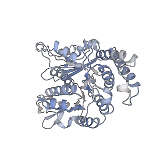 35823_8iyj_LL_v1-0
Cryo-EM structure of the 48-nm repeat doublet microtubule from mouse sperm