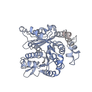 35823_8iyj_LN_v1-0
Cryo-EM structure of the 48-nm repeat doublet microtubule from mouse sperm