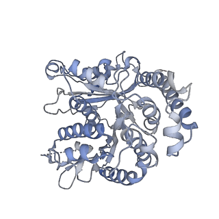 35823_8iyj_LO_v1-0
Cryo-EM structure of the 48-nm repeat doublet microtubule from mouse sperm