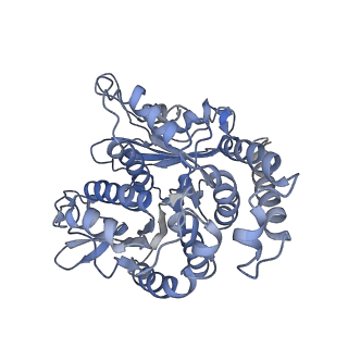 35823_8iyj_MB_v1-0
Cryo-EM structure of the 48-nm repeat doublet microtubule from mouse sperm
