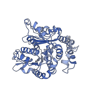 35823_8iyj_MD_v1-0
Cryo-EM structure of the 48-nm repeat doublet microtubule from mouse sperm