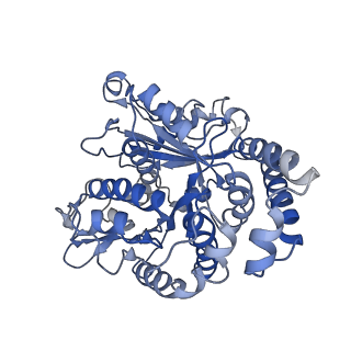 35823_8iyj_ME_v1-0
Cryo-EM structure of the 48-nm repeat doublet microtubule from mouse sperm