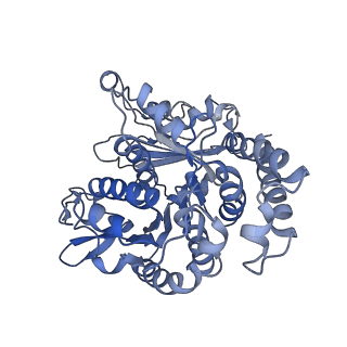 35823_8iyj_MF_v1-0
Cryo-EM structure of the 48-nm repeat doublet microtubule from mouse sperm