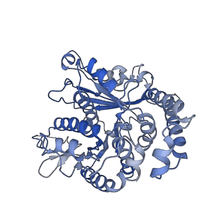 35823_8iyj_MG_v1-0
Cryo-EM structure of the 48-nm repeat doublet microtubule from mouse sperm