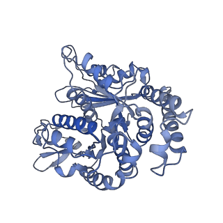 35823_8iyj_MH_v1-0
Cryo-EM structure of the 48-nm repeat doublet microtubule from mouse sperm