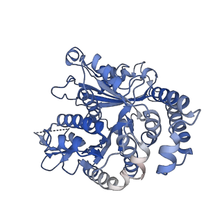 35823_8iyj_MI_v1-0
Cryo-EM structure of the 48-nm repeat doublet microtubule from mouse sperm