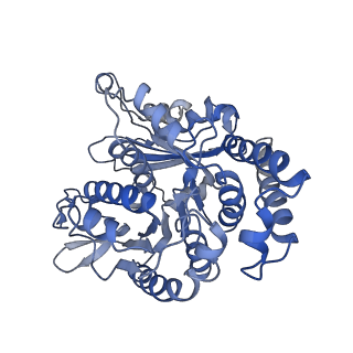 35823_8iyj_MJ_v1-0
Cryo-EM structure of the 48-nm repeat doublet microtubule from mouse sperm