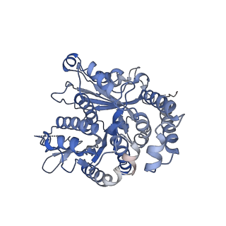 35823_8iyj_MK_v1-0
Cryo-EM structure of the 48-nm repeat doublet microtubule from mouse sperm