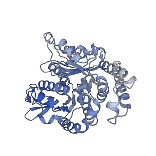 35823_8iyj_ML_v1-0
Cryo-EM structure of the 48-nm repeat doublet microtubule from mouse sperm