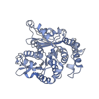 35823_8iyj_MN_v1-0
Cryo-EM structure of the 48-nm repeat doublet microtubule from mouse sperm