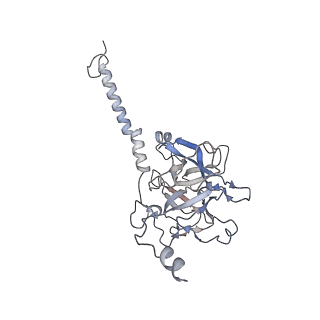 35823_8iyj_N2_v1-0
Cryo-EM structure of the 48-nm repeat doublet microtubule from mouse sperm