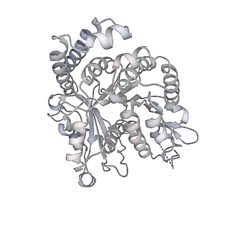 35823_8iyj_NA_v1-0
Cryo-EM structure of the 48-nm repeat doublet microtubule from mouse sperm