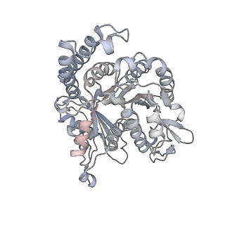 35823_8iyj_NB_v1-0
Cryo-EM structure of the 48-nm repeat doublet microtubule from mouse sperm