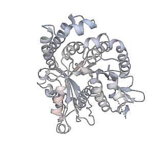 35823_8iyj_NC_v1-0
Cryo-EM structure of the 48-nm repeat doublet microtubule from mouse sperm
