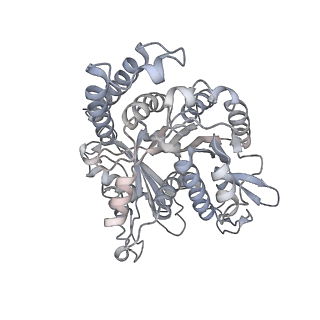 35823_8iyj_ND_v1-0
Cryo-EM structure of the 48-nm repeat doublet microtubule from mouse sperm