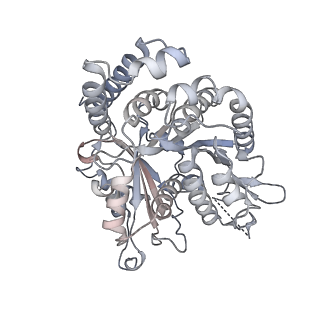 35823_8iyj_NE_v1-0
Cryo-EM structure of the 48-nm repeat doublet microtubule from mouse sperm