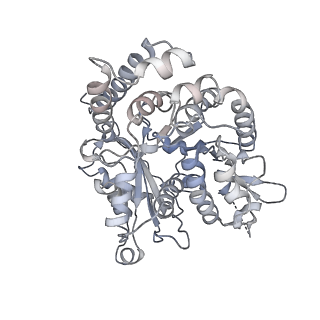 35823_8iyj_NG_v1-0
Cryo-EM structure of the 48-nm repeat doublet microtubule from mouse sperm