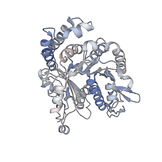 35823_8iyj_NH_v1-0
Cryo-EM structure of the 48-nm repeat doublet microtubule from mouse sperm