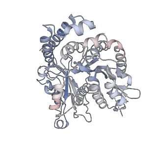 35823_8iyj_NI_v1-0
Cryo-EM structure of the 48-nm repeat doublet microtubule from mouse sperm