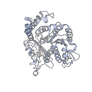 35823_8iyj_NJ_v1-0
Cryo-EM structure of the 48-nm repeat doublet microtubule from mouse sperm